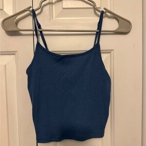American Eagle Outfitters Blue Sleeveless Crop Camisole